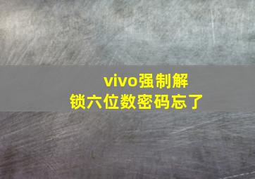 vivo强制解锁六位数密码忘了