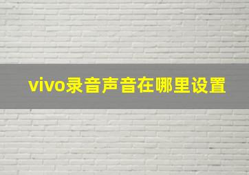 vivo录音声音在哪里设置