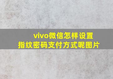 vivo微信怎样设置指纹密码支付方式呢图片