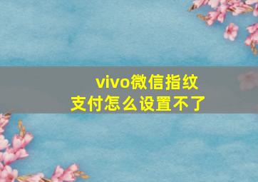 vivo微信指纹支付怎么设置不了