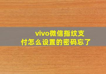 vivo微信指纹支付怎么设置的密码忘了