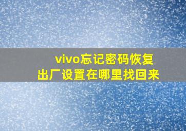 vivo忘记密码恢复出厂设置在哪里找回来