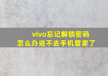 vivo忘记解锁密码怎么办进不去手机管家了