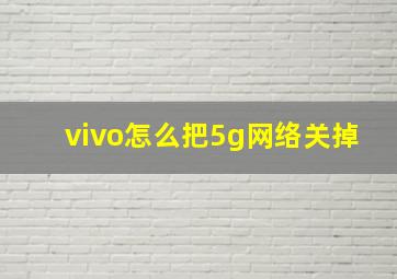 vivo怎么把5g网络关掉