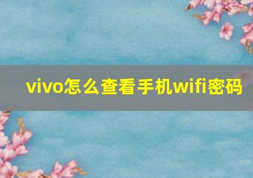 vivo怎么查看手机wifi密码