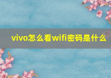 vivo怎么看wifi密码是什么