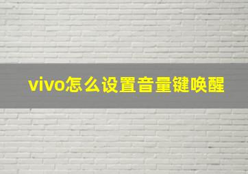 vivo怎么设置音量键唤醒