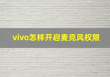 vivo怎样开启麦克风权限