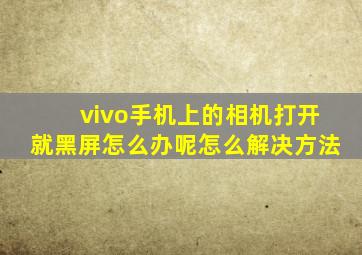 vivo手机上的相机打开就黑屏怎么办呢怎么解决方法