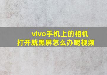 vivo手机上的相机打开就黑屏怎么办呢视频