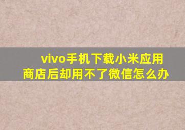 vivo手机下载小米应用商店后却用不了微信怎么办