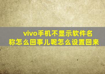 vivo手机不显示软件名称怎么回事儿呢怎么设置回来