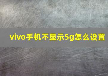 vivo手机不显示5g怎么设置