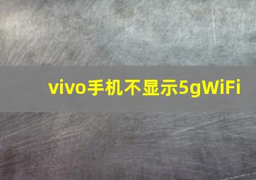 vivo手机不显示5gWiFi