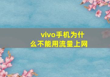 vivo手机为什么不能用流量上网