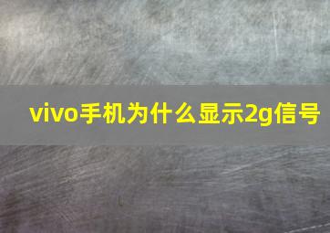 vivo手机为什么显示2g信号