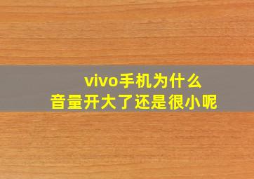 vivo手机为什么音量开大了还是很小呢