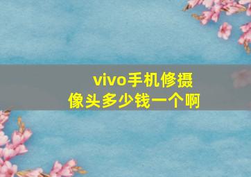 vivo手机修摄像头多少钱一个啊