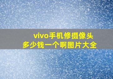 vivo手机修摄像头多少钱一个啊图片大全