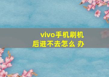 vivo手机刷机后进不去怎么 办