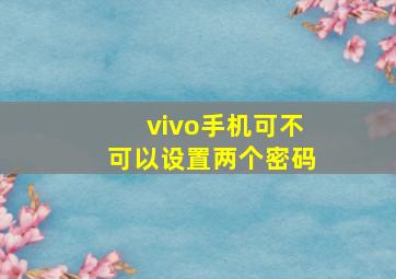 vivo手机可不可以设置两个密码