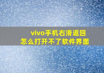 vivo手机右滑返回怎么打开不了软件界面