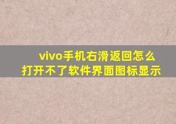 vivo手机右滑返回怎么打开不了软件界面图标显示