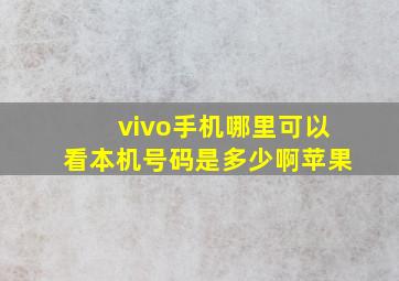 vivo手机哪里可以看本机号码是多少啊苹果