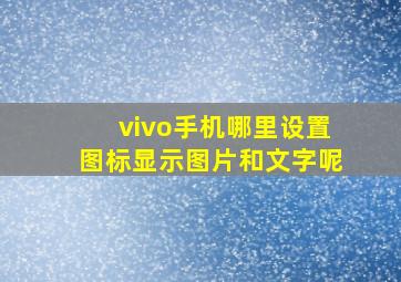 vivo手机哪里设置图标显示图片和文字呢