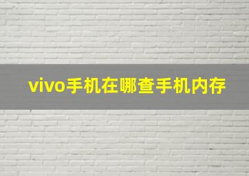 vivo手机在哪查手机内存