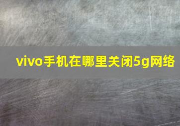 vivo手机在哪里关闭5g网络