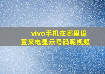 vivo手机在哪里设置来电显示号码呢视频