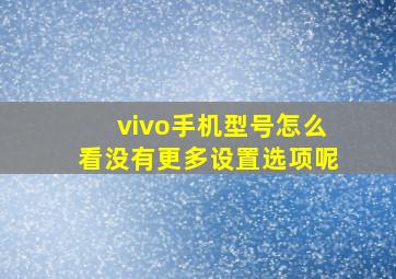 vivo手机型号怎么看没有更多设置选项呢