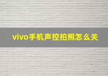 vivo手机声控拍照怎么关