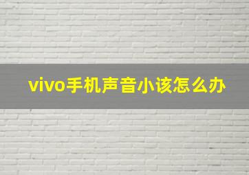 vivo手机声音小该怎么办