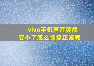 vivo手机声音突然变小了怎么恢复正常呢