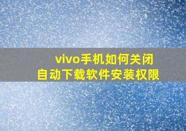 vivo手机如何关闭自动下载软件安装权限