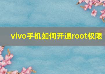 vivo手机如何开通root权限