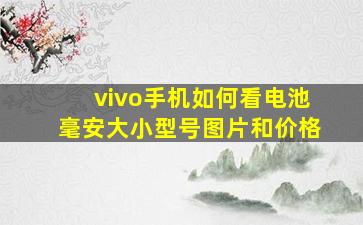 vivo手机如何看电池毫安大小型号图片和价格