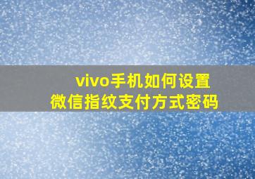 vivo手机如何设置微信指纹支付方式密码