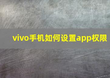 vivo手机如何设置app权限