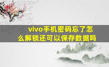 vivo手机密码忘了怎么解锁还可以保存数据吗