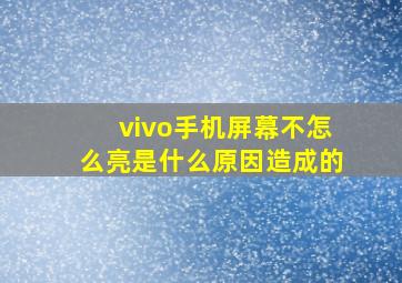 vivo手机屏幕不怎么亮是什么原因造成的