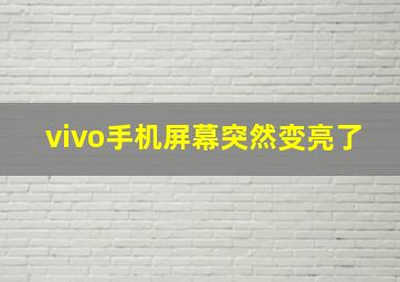 vivo手机屏幕突然变亮了