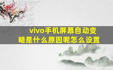 vivo手机屏幕自动变暗是什么原因呢怎么设置