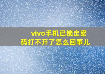 vivo手机已锁定密码打不开了怎么回事儿