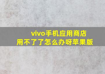 vivo手机应用商店用不了了怎么办呀苹果版