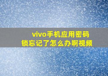 vivo手机应用密码锁忘记了怎么办啊视频