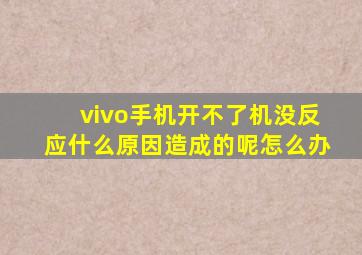 vivo手机开不了机没反应什么原因造成的呢怎么办