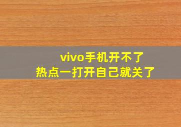 vivo手机开不了热点一打开自己就关了